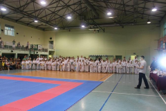 VIII Otwarte Mistrzostwa Województwa Opolskiego w Karate Tradycyjnym. Głuchołazy, 24.05.2014