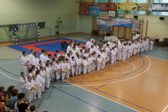 VIII Otwarte Mistrzostwa Województwa Opolskiego w Karate Tradycyjnym. Głuchołazy, 24.05.2014