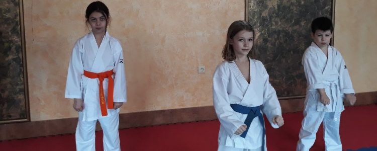 Klub karate w Opolu